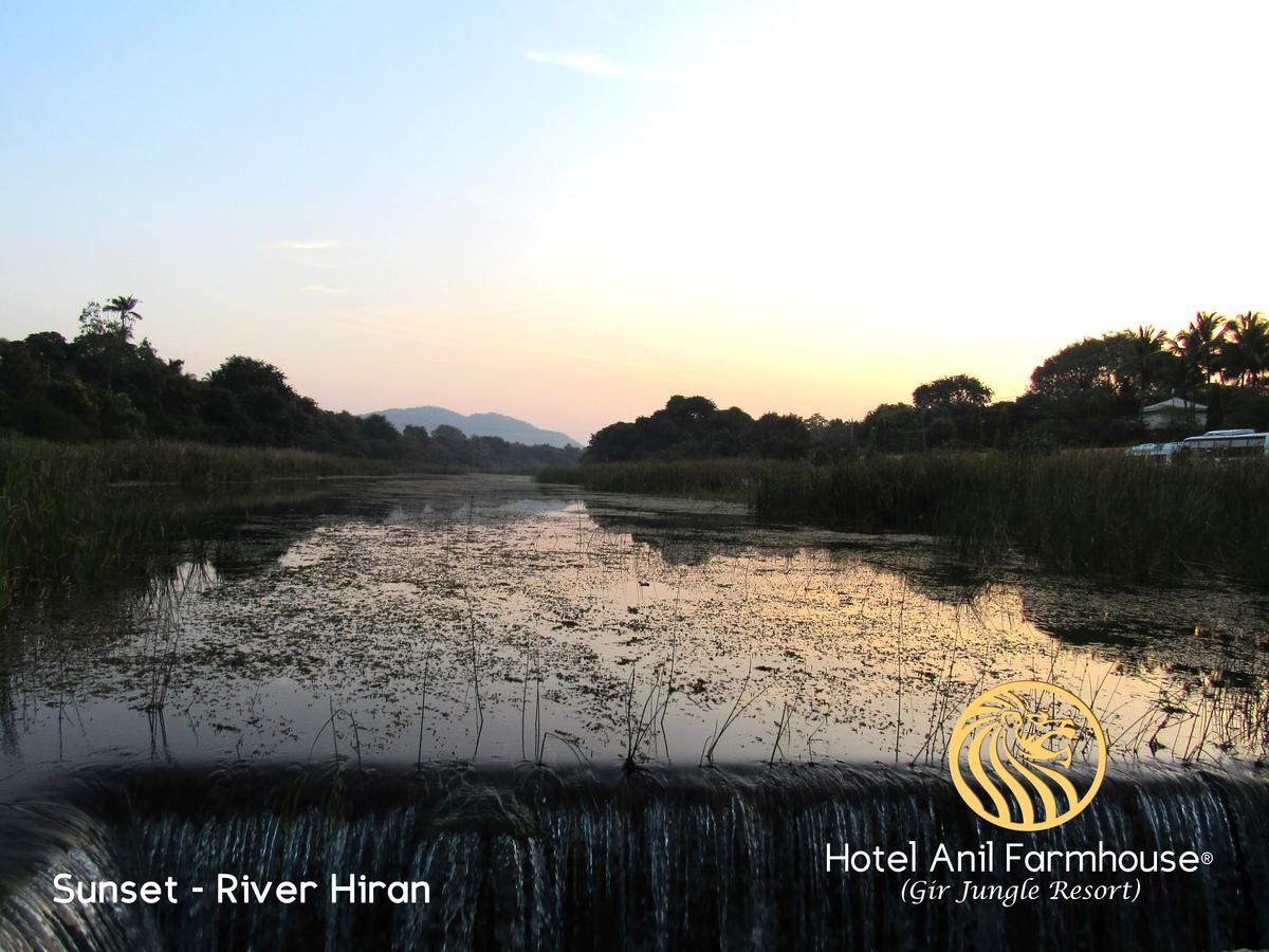 Hotel Anil Farmhouse Gir Jungle Resort Sasan Gir Ngoại thất bức ảnh